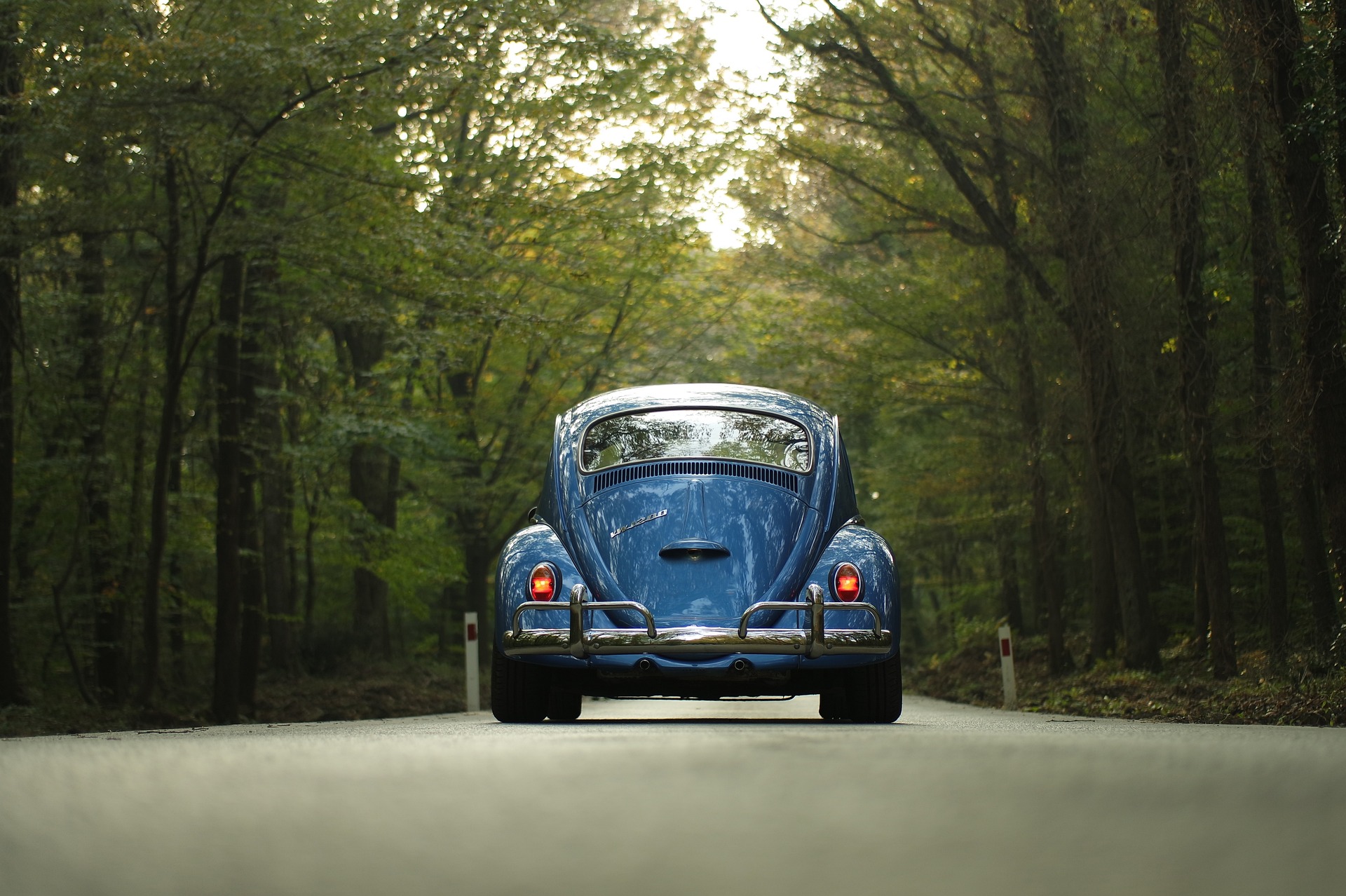 Sondermodelle und seltene Varianten des VW Käfers