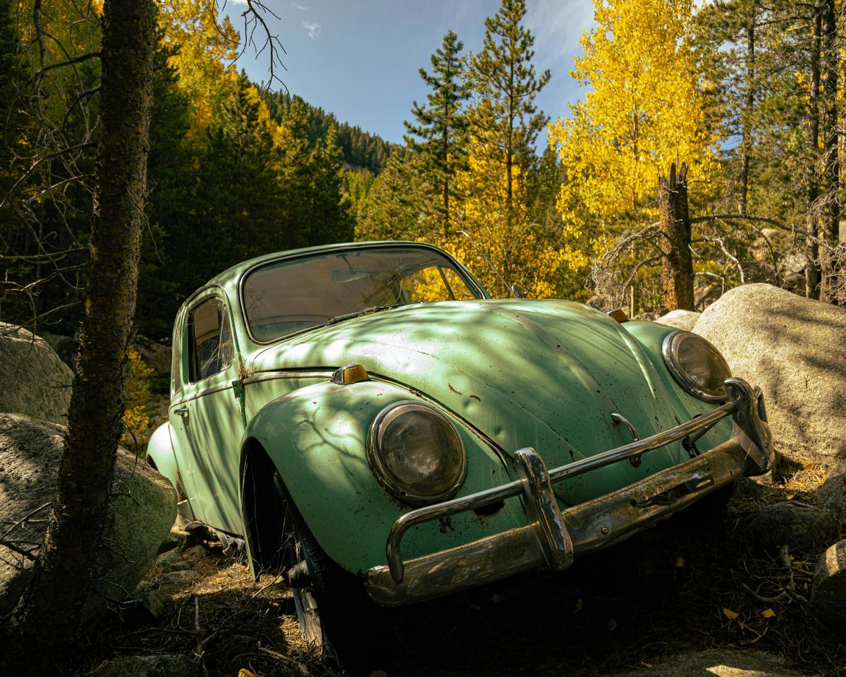 VW Käfer und Umwelt